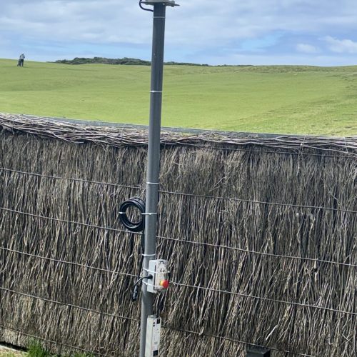 Bird Laser Install Barwon Heads